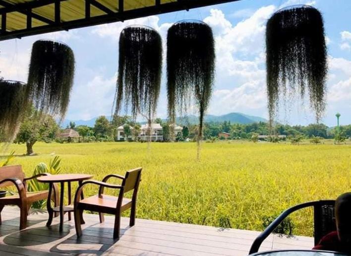 Oon Valley Farm Stay San Kamphaeng Exterior foto